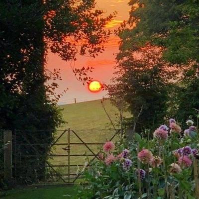 365平台下载手机app下载