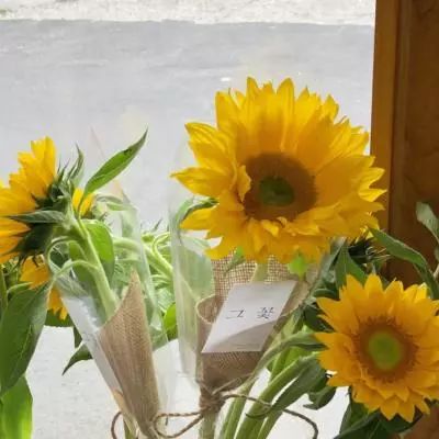 BET9官方APP下载正版app下载